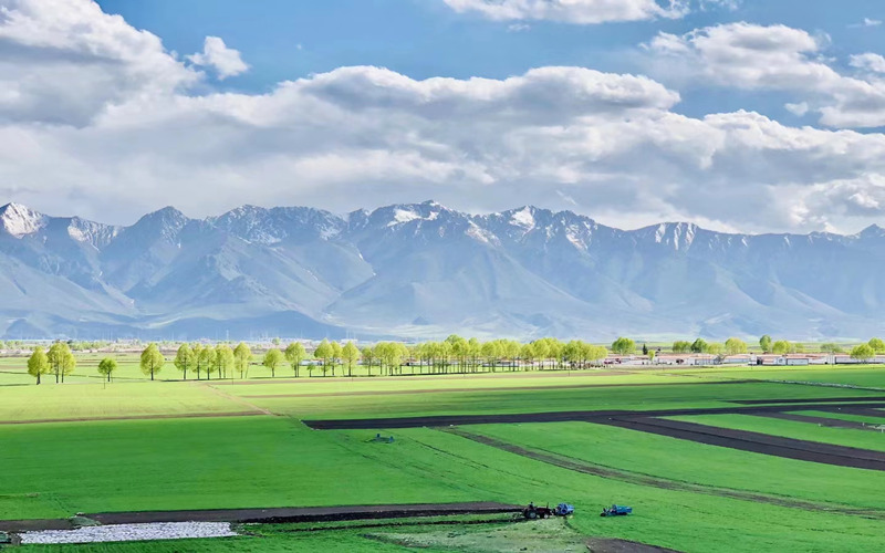 祁連山腹地美景。華旦才讓攝