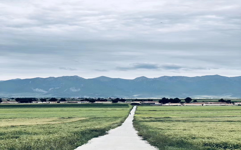 祁連山腹地美景。華旦才讓攝