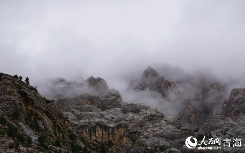 云霧繚繞的柏樹(shù)山。人民網(wǎng) 況玉攝