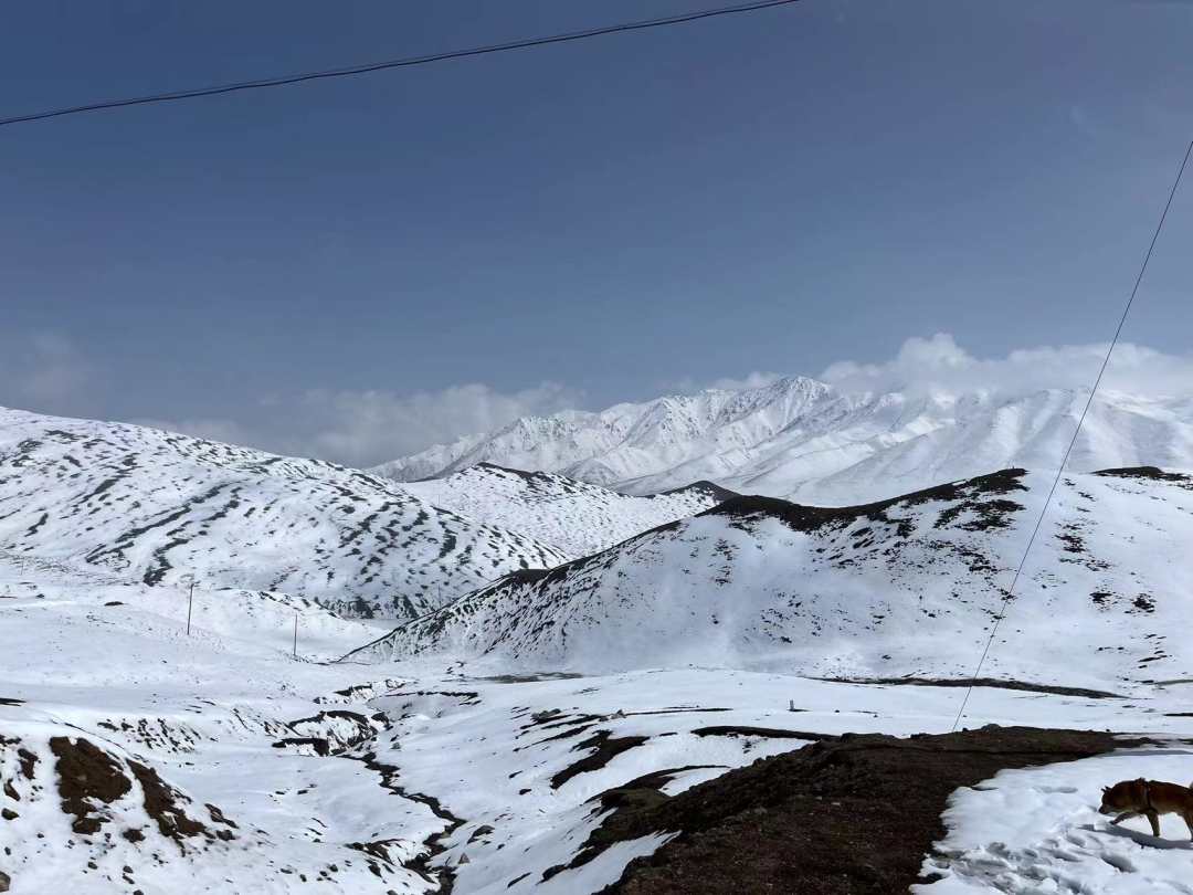 拉脊山完全被大雪覆蓋。