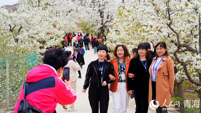 游客駐足拍照賞花。人民網(wǎng) 馬可欣攝