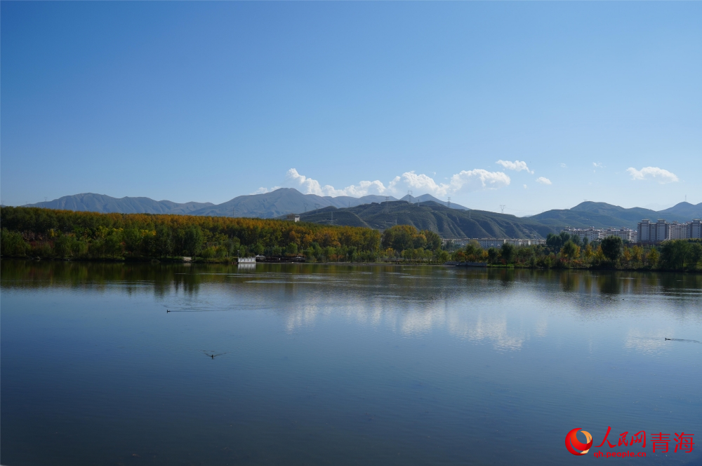 三河濕地公園秋韻濃。人民網(wǎng) 陳明菊攝