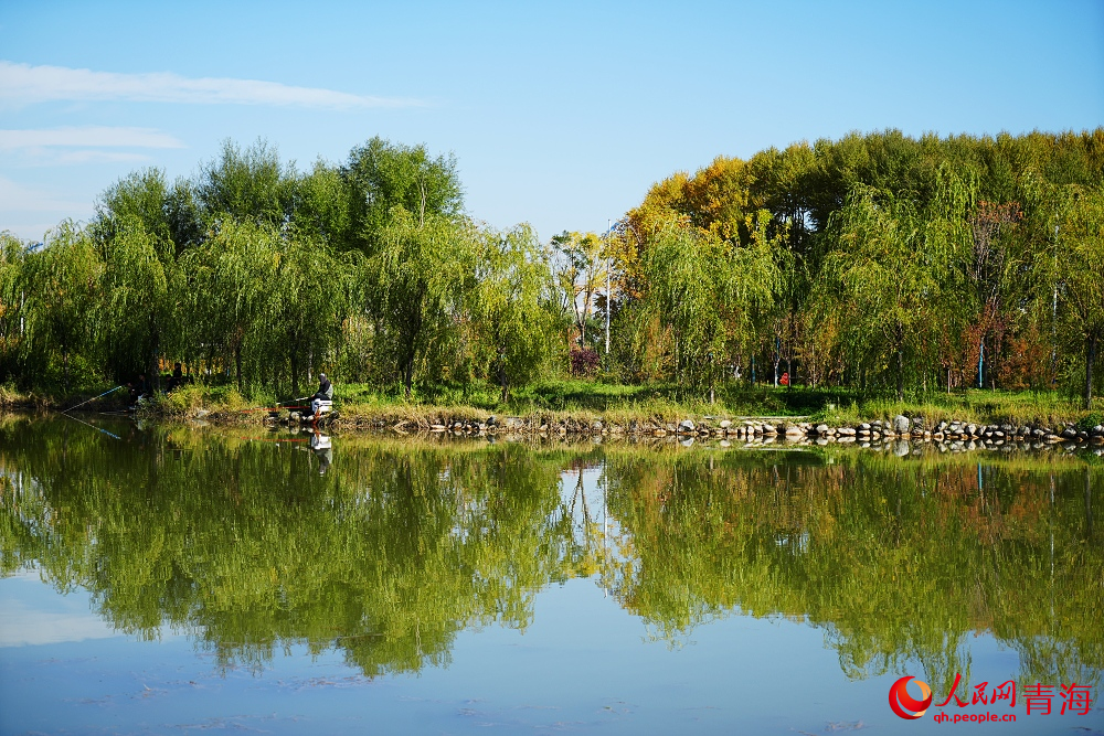 三河濕地公園秋韻濃。人民網(wǎng) 陳明菊攝