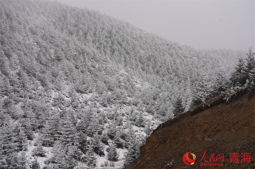 大雪過后宛如仙境的青沙山。人民網(wǎng) 馬可欣攝