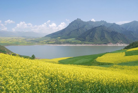 南門峽水庫花海?；ブh委宣傳部供圖